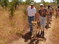 This is Jack, his wife, & a lioness, all holding sticks. 